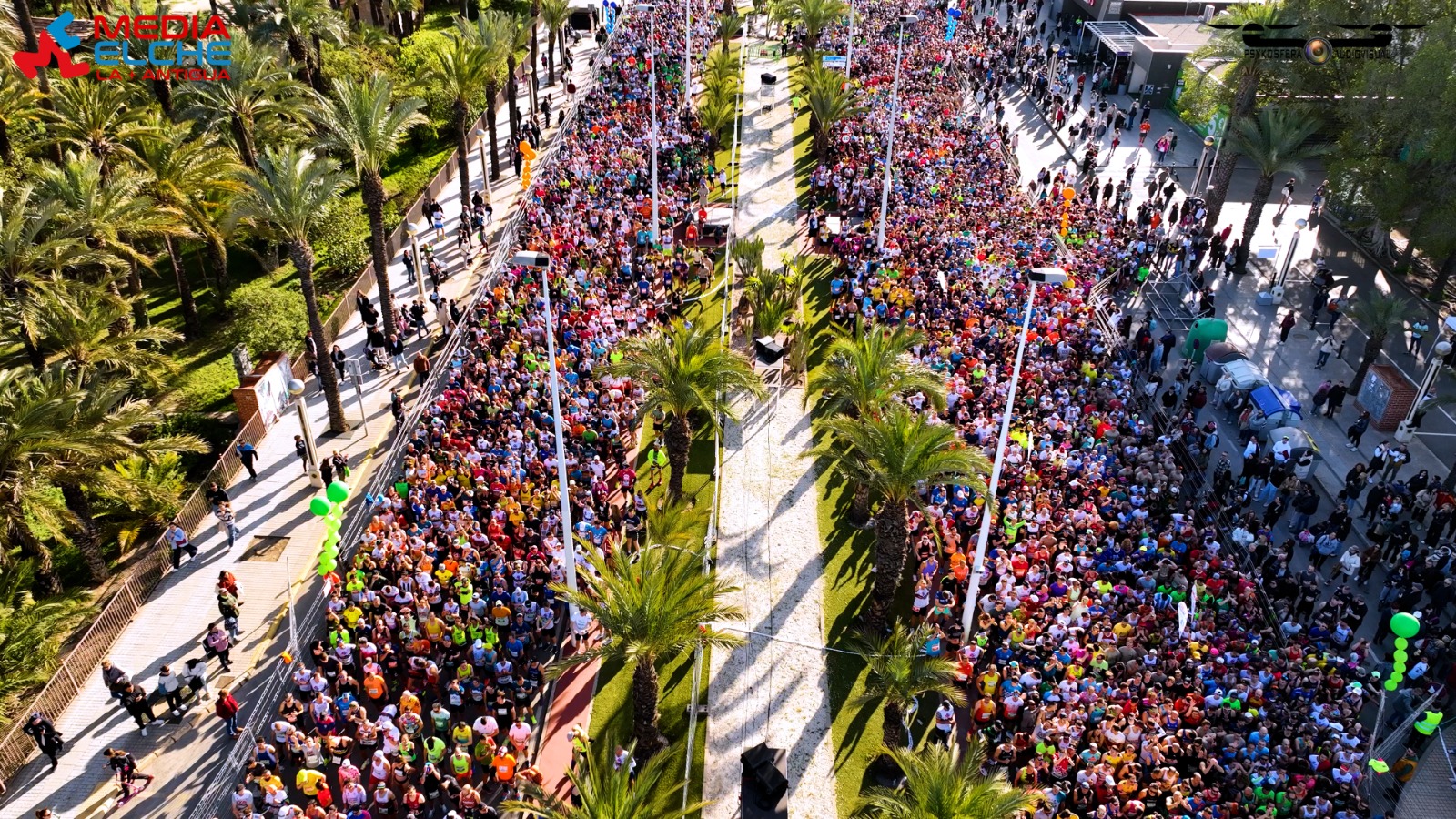 Vista aérea de la salida entre palmeras