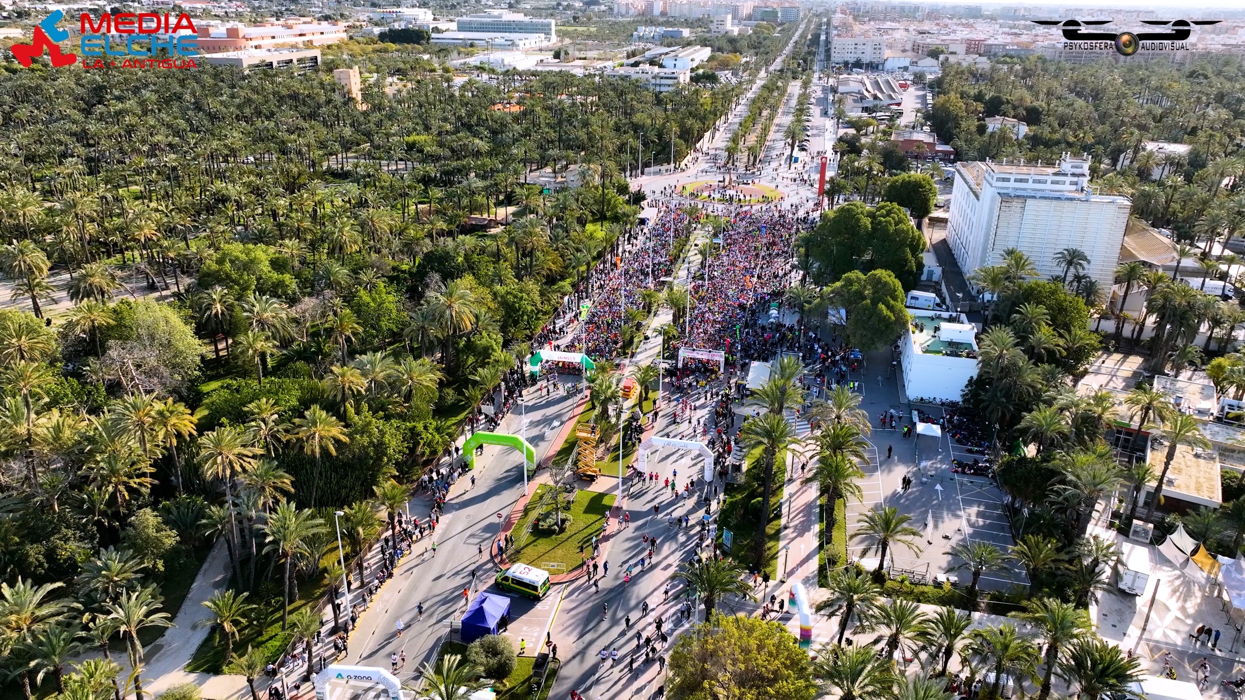 Vista aérea del recorrido por el palmeral